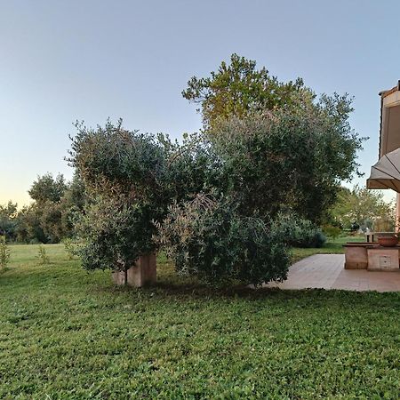 Agriturismo Fontelupo Bracciano  Bagian luar foto