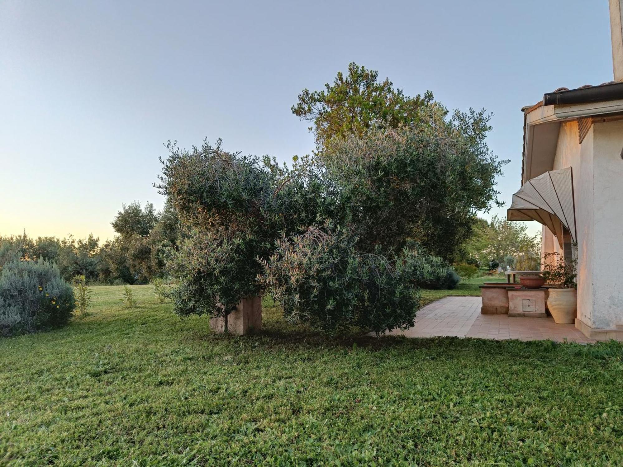 Agriturismo Fontelupo Bracciano  Bagian luar foto