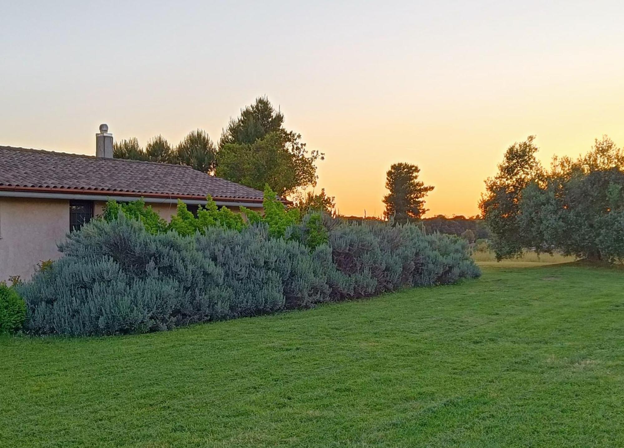 Agriturismo Fontelupo Bracciano  Bagian luar foto