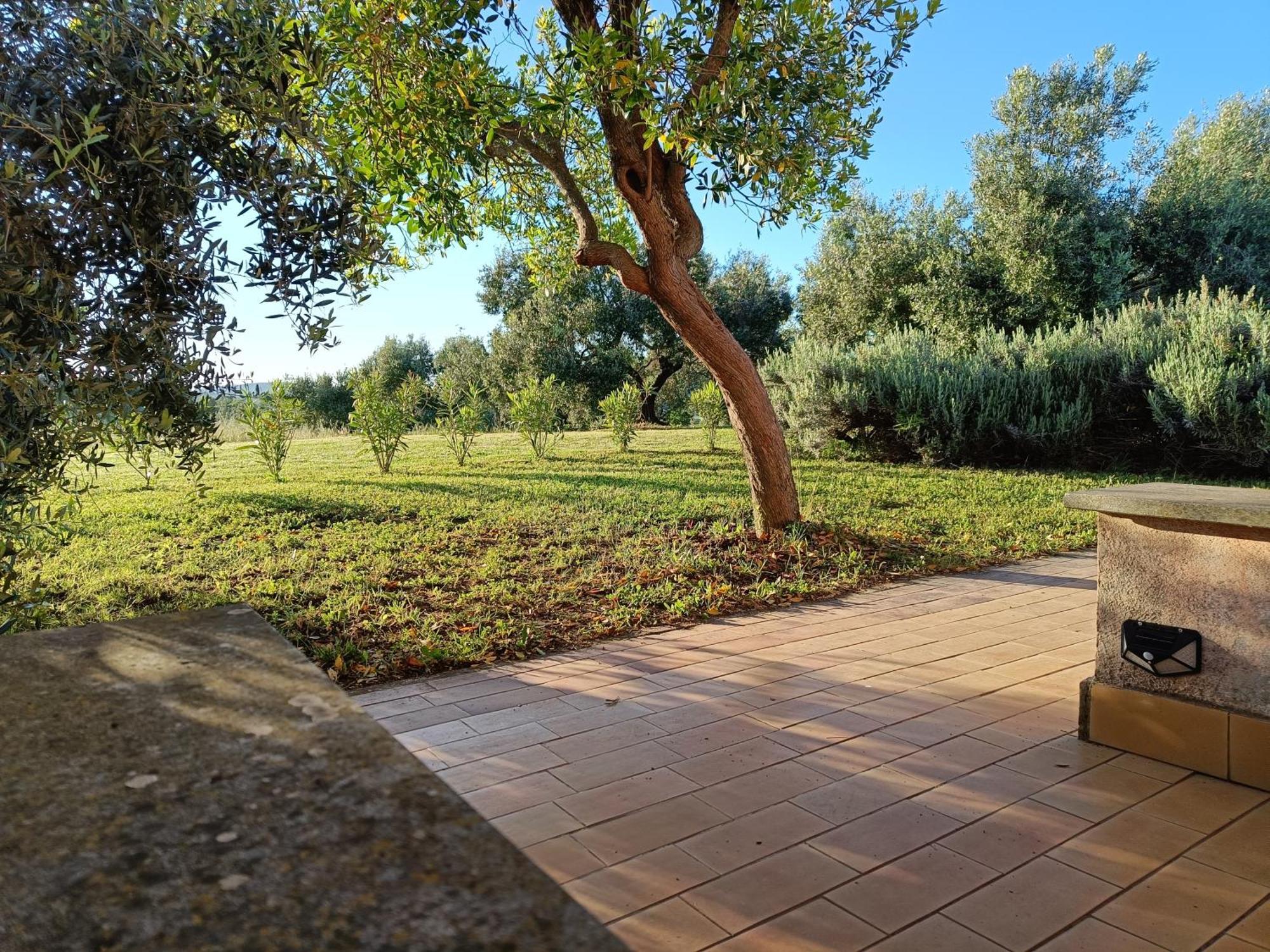 Agriturismo Fontelupo Bracciano  Bagian luar foto