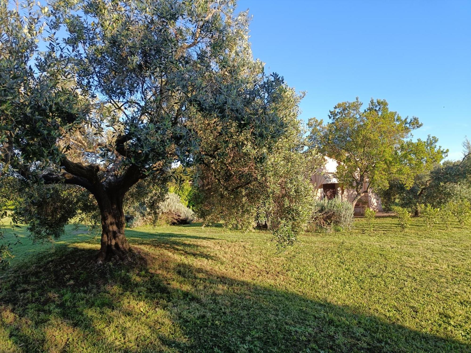 Agriturismo Fontelupo Bracciano  Bagian luar foto