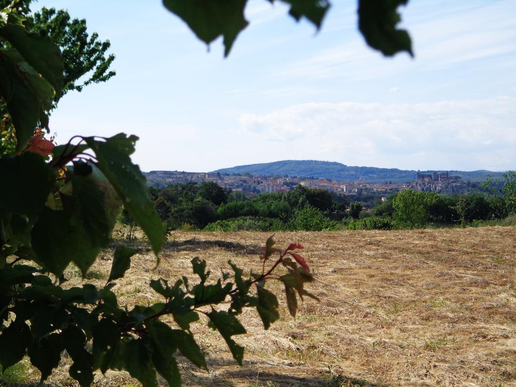 Agriturismo Fontelupo Bracciano  Bagian luar foto